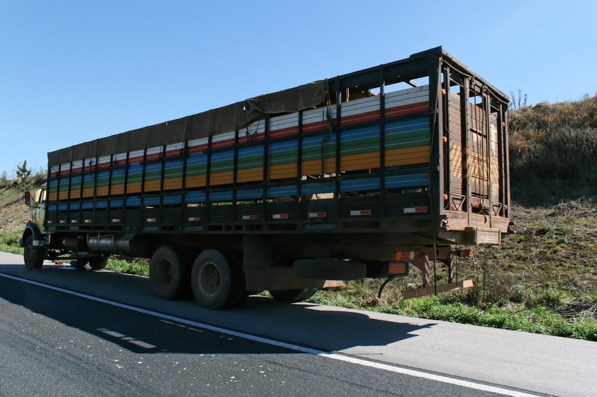 What to Do if Your Truck Breaks Down Mid-Journey